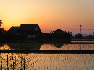 IMG_4402.jpg