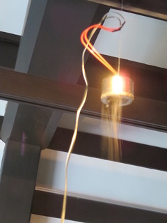 IMG_4637.jpg